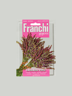 LAVANDA VERA