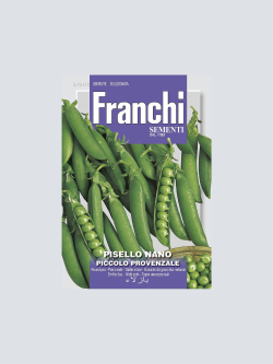 PISELLO NANO PICCOLO PROVENZALE