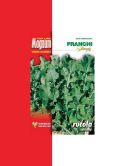 RUCOLA COLTIVATA