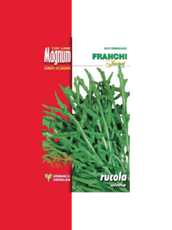 RUCOLA SELVATICA