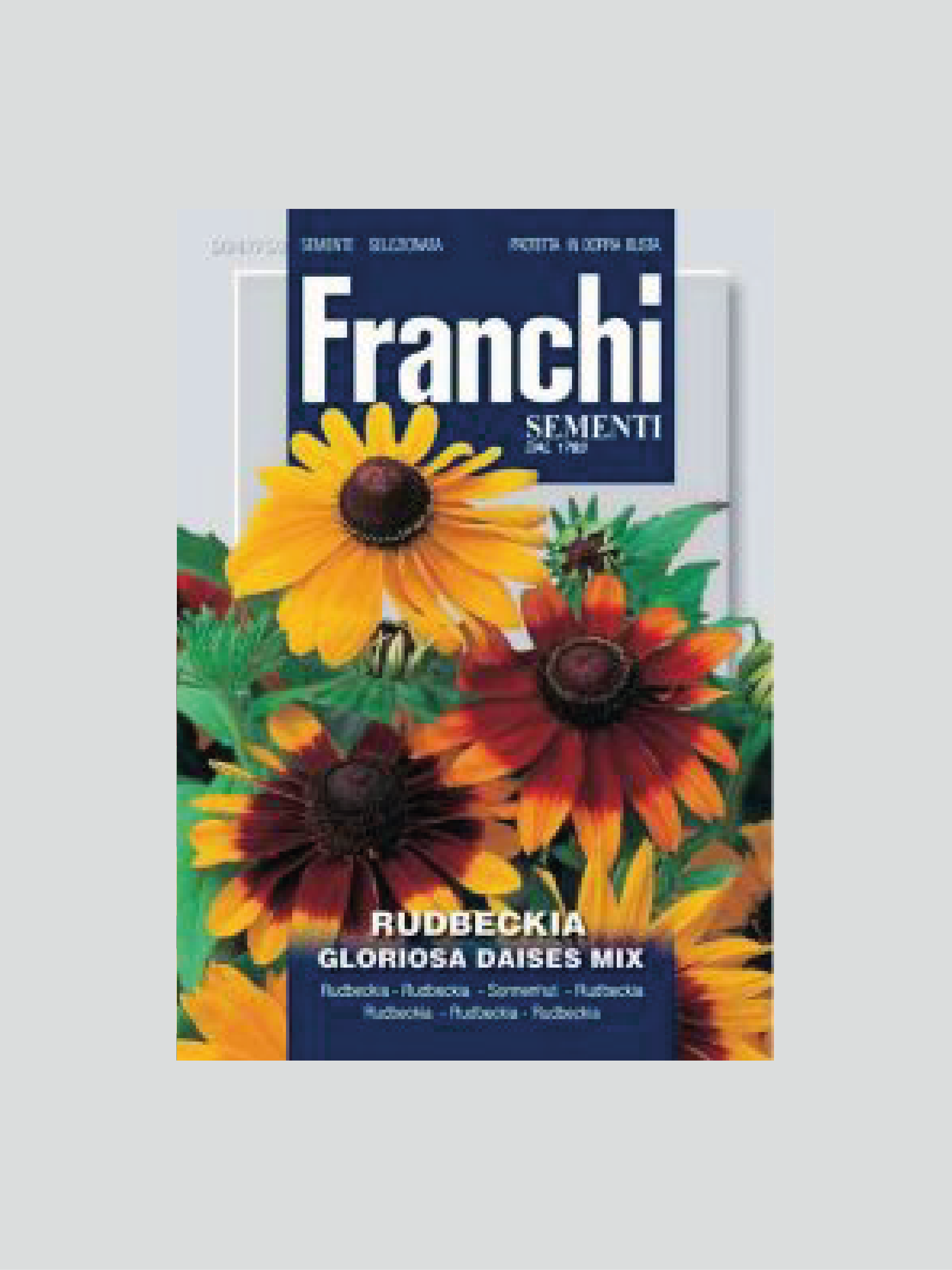 RUDBECKIA GLORIOSA DAISES MIX