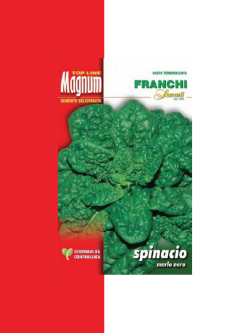 SPINACIO MERLO NERO