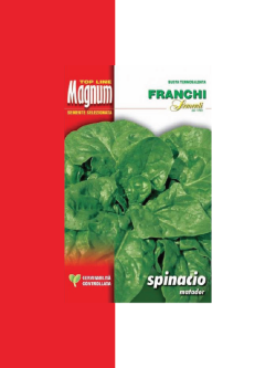 SPINACIO MATADOR