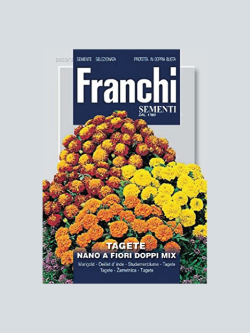 TAGETE NANO A FIORI DOPPI MIX