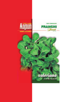 VALERIANA VERTE DE CAMBRAI