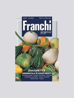 ZUCCHETTA ORNAMENTALE IN ASSORTIMENTO