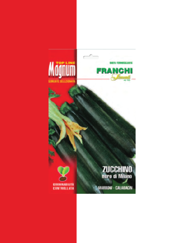 ZUCCHINO NERO DI MILANO