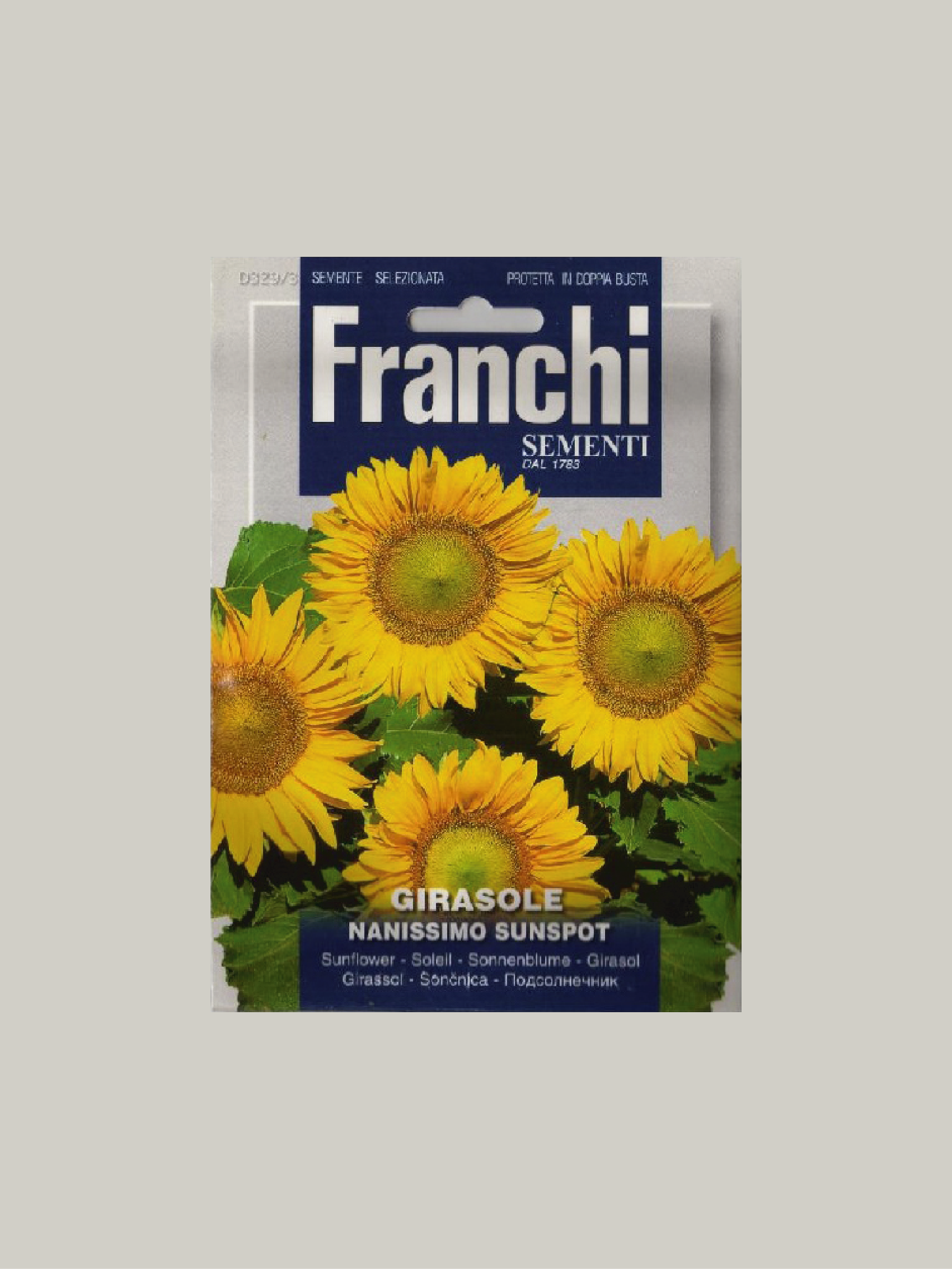 GIRASOLE NANISSIMO SUNSPOT