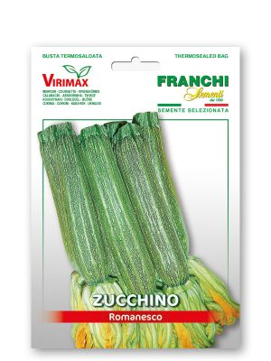 ZUCCHINO ROMANESCO