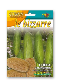 LUFFA CYLINDRICA