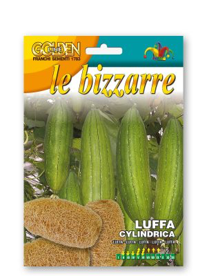 LUFFA CYLINDRICA