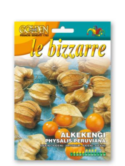 ALKEKENGI