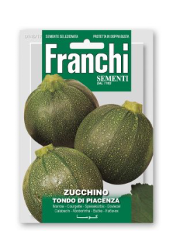 ZUCCHINO TONDO DI PIACENZA