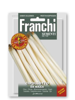 CIPOLLOTTO DA MAZZI