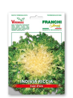 INDIVIA RICCIA CUOR D'ORO