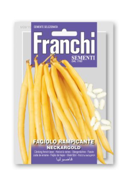 FAGIOLO RAMPICANTE NECKARGOLD