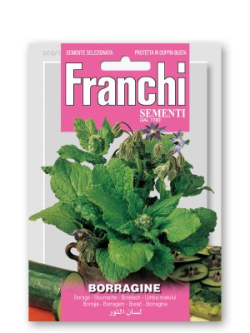 BORRAGINE