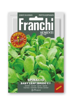 SPINACIO BABY LEAF IBRIDO F1