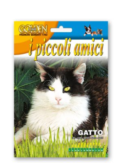 ERBA GATTO NEPETA CATARIA