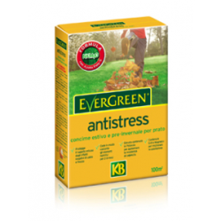 EVERGREEN ANTISTRESS