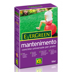 EVERGREEN MANTENIMENTO