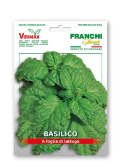 BASILICO A FOGLIE DI LATTUGA