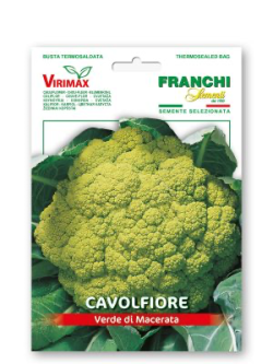 CAVOLFIORE VERDE DI MACERATA