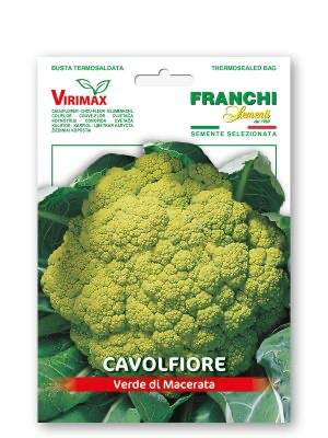 CAVOLFIORE VERDE DI MACERATA