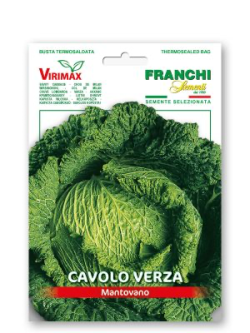 CAVOLO VERZA MANTOVANO