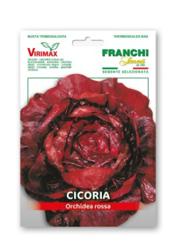 CICORIA ORCHIDEA ROSSA