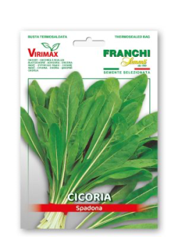 CICORIA SPADONA