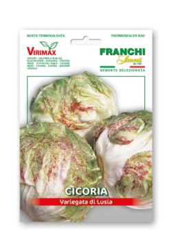CICORIA VARIEGATA DI LUSIA