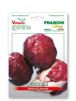 CICORIA PALLA ROSSA DI VERONA