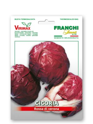 CICORIA PALLA ROSSA DI VERONA