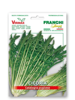 CICORIA CATALOGNA PUGLIESE