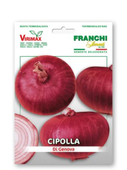 CIPOLLA DI GENOVA