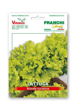 LATTUGA BIONDA RICCIOLINA