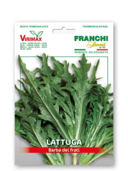 LATTUGA BARBA DEI FRATI