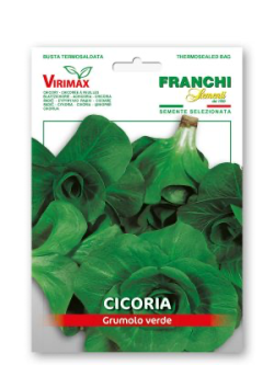 CICORIA GRUMOLO VERDE