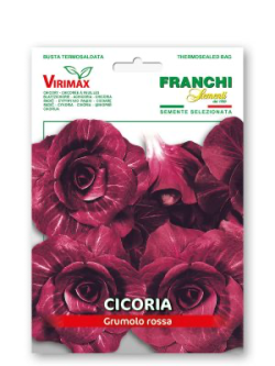 CICORIA GRUMOLO ROSSA