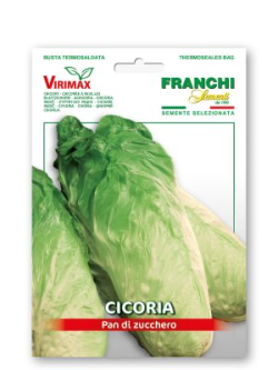 CICORIA PAN DI ZUCCHERO