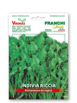 INDIVIA RICCIA ROMANESCA DA TAGLIO