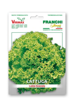 LATTUGA LOLLO BIONDA