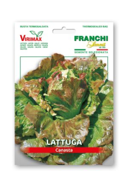 LATTUGA CANASTA