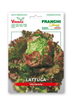 LATTUGA UBRIACONA