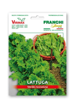 LATTUGA VERDE RICCIOLINA