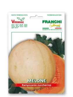 MELONE RAMPICANTE ZUCCHERINO