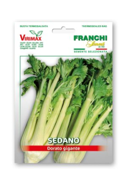 SEDANO DORATO GIGANTE
