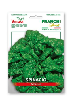 SPINACIO AMERICA