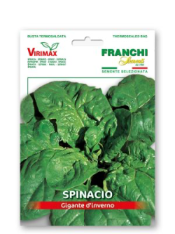 SPINACIO GIGANTE DI INVERNO